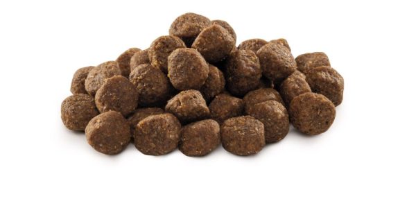 brit-premium-dog-junior-m-15-kg