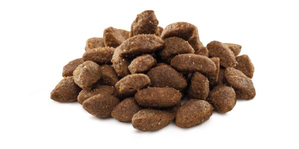 brit-premium-dog-sport-15-kg